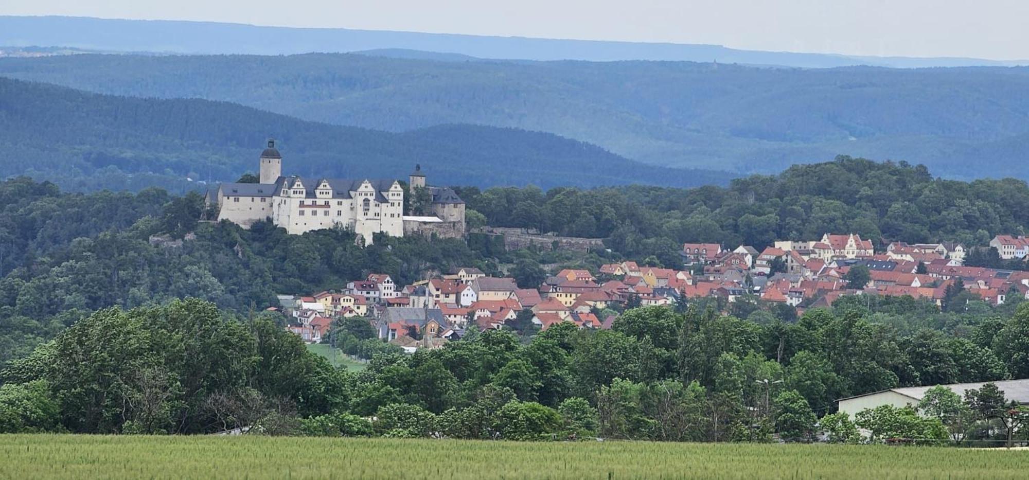 Ferienhaus-Wurzbach Bagian luar foto