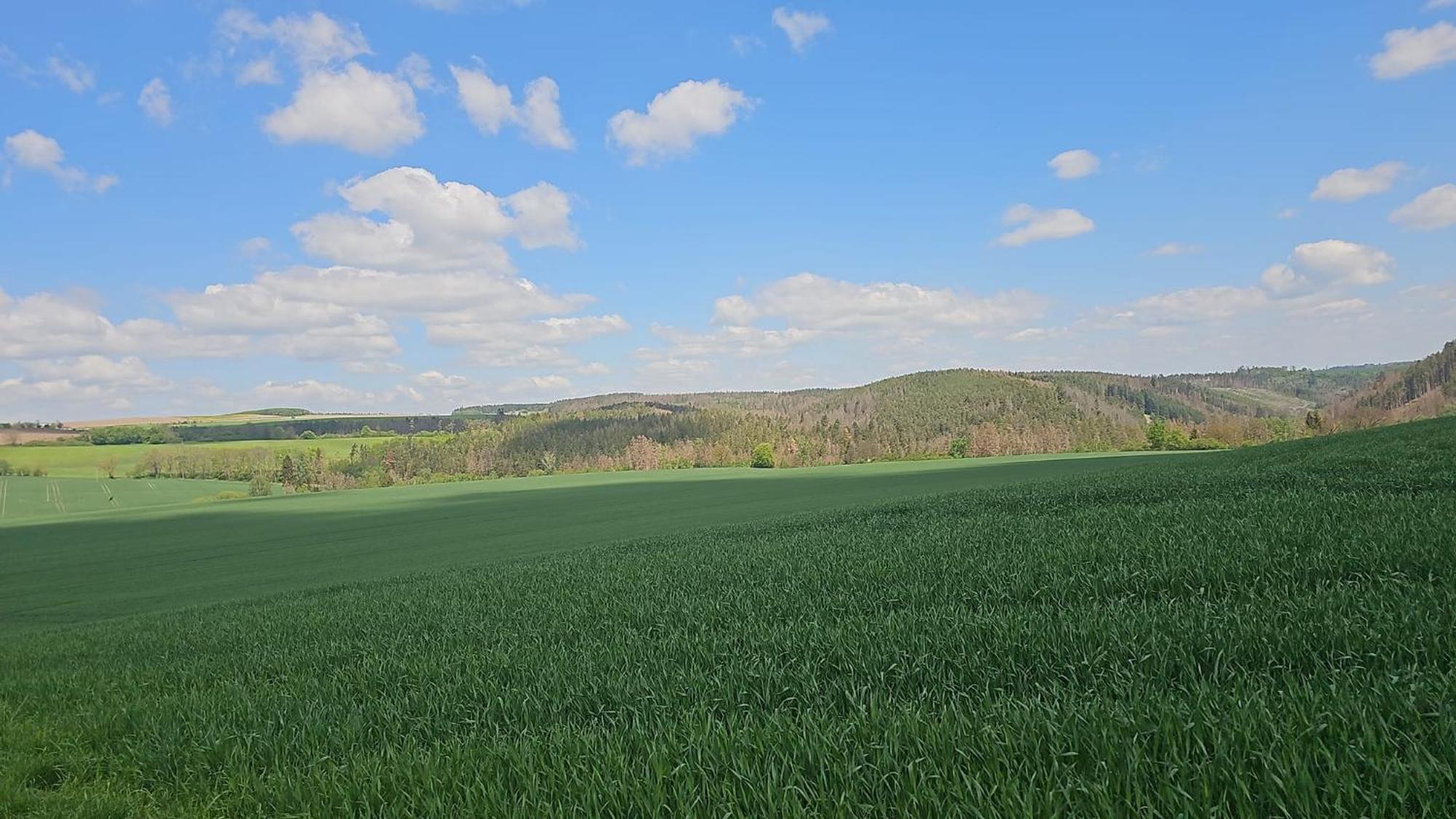 Ferienhaus-Wurzbach Bagian luar foto